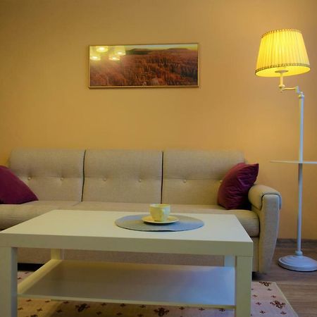 Central Comfortable One-Bedroom Apartment Chisinau Exterior photo